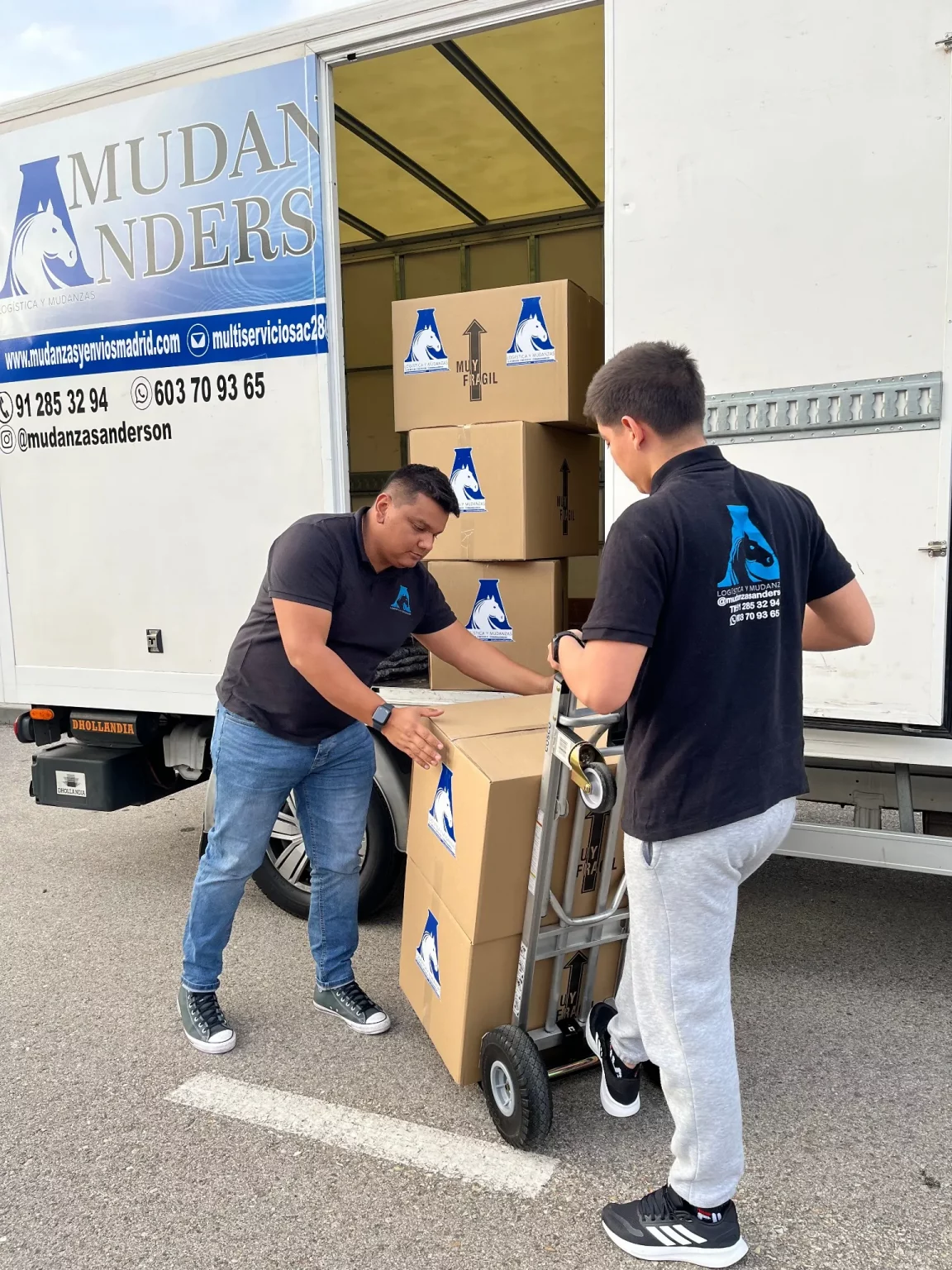 anderson moviendo cajas